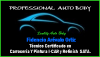 Foto de Professional auto body