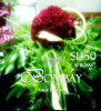 Foto de Florer�a Bombay